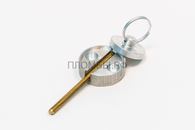 Опечатывающее устройство с откидным штоком алюминий (дюраль) Опечатывающее устройство с откидным штоком алюминий (дюраль)